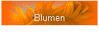Blumen