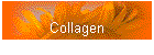 Collagen