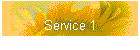 Service 1