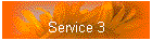 Service 3