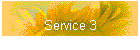 Service 3